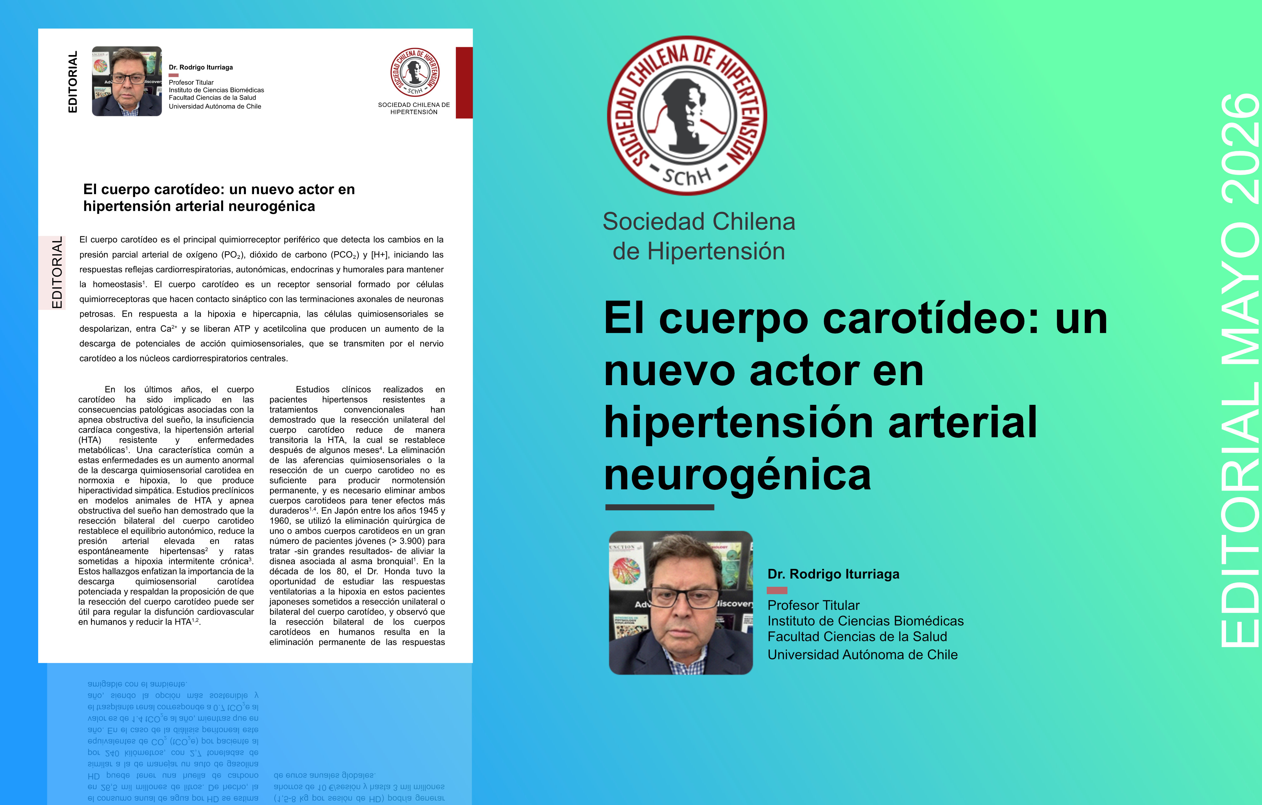 El cuerpo carotídeo: un nuevo actor en
hipertensión arterial neurogénica
